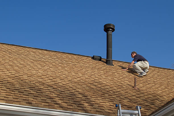Best Roof Repair  in Mendota, IL