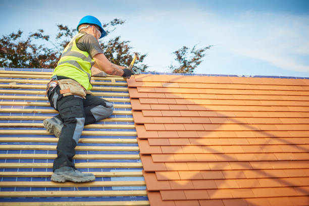 Roof Insulation in Mendota, IL